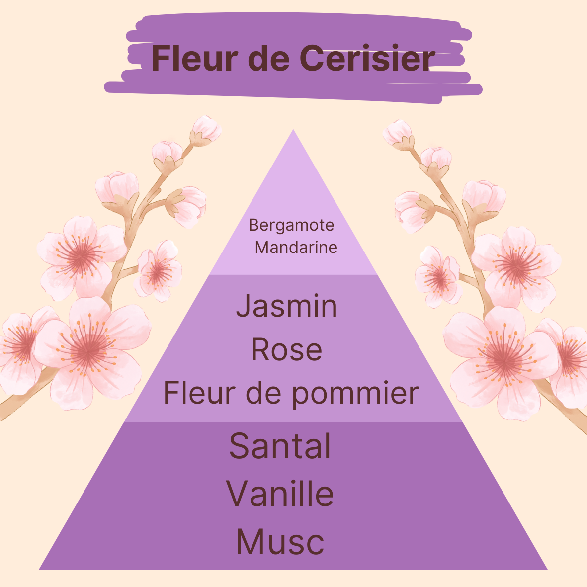 Parfum - Fleur de Cerisier