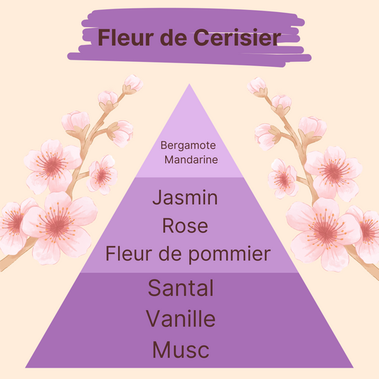Parfum - Fleur de Cerisier