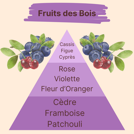 Parfum - Fruits des Bois