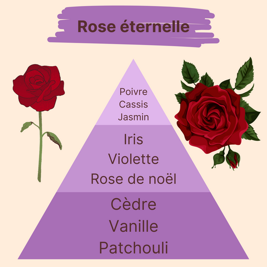 Parfum - Rose éternelle