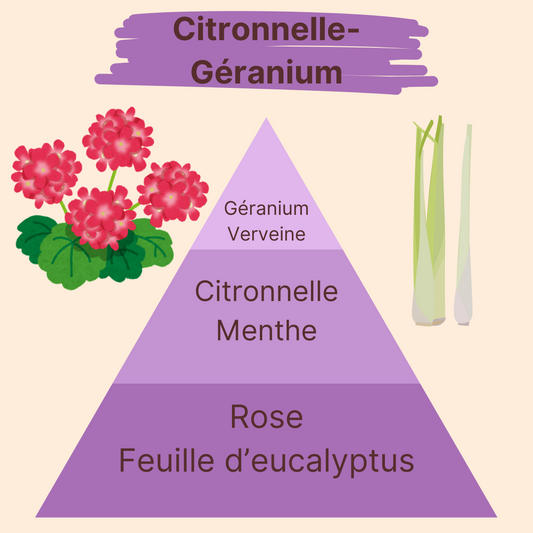 Parfum - Citronnelle-Géranium