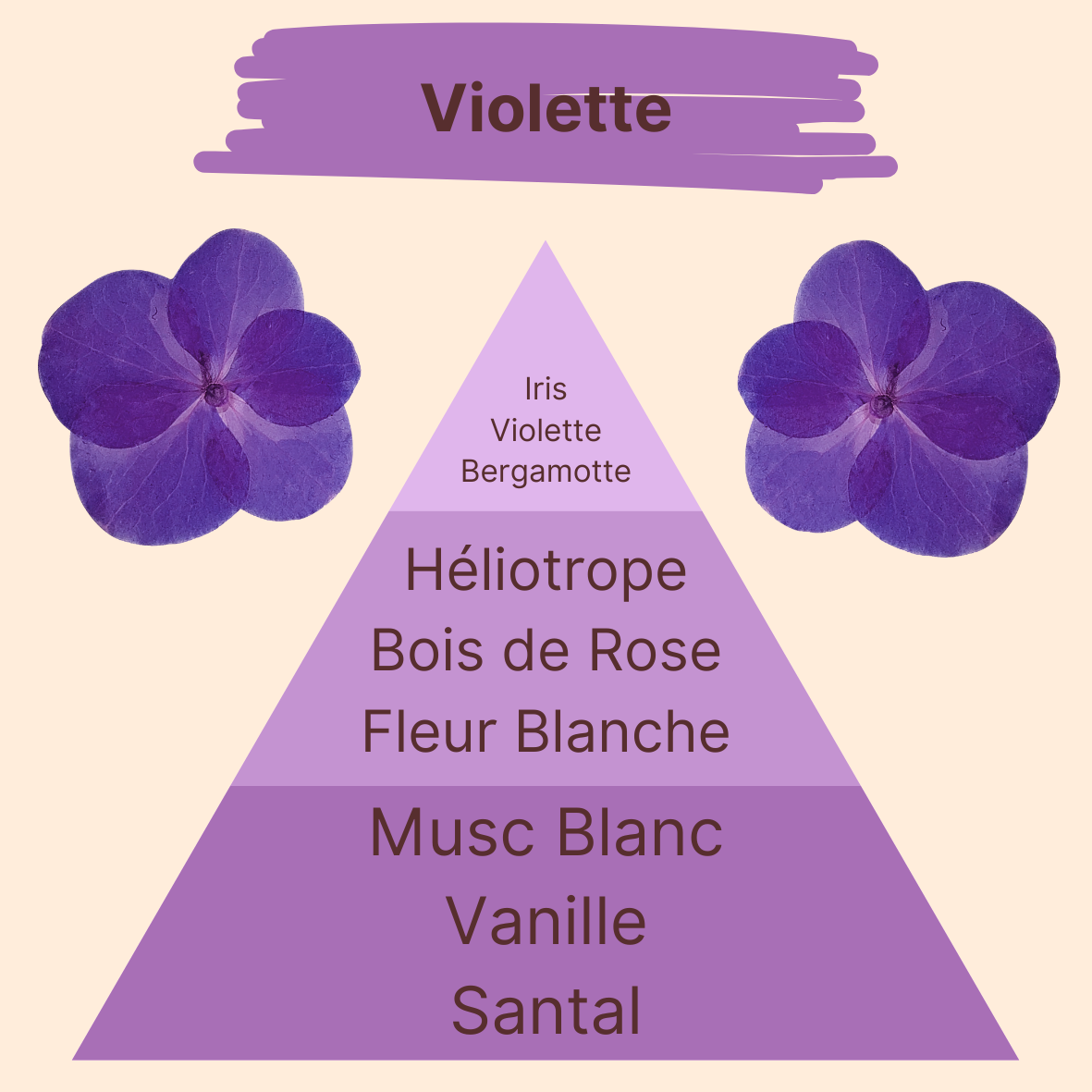 Parfum - Violette