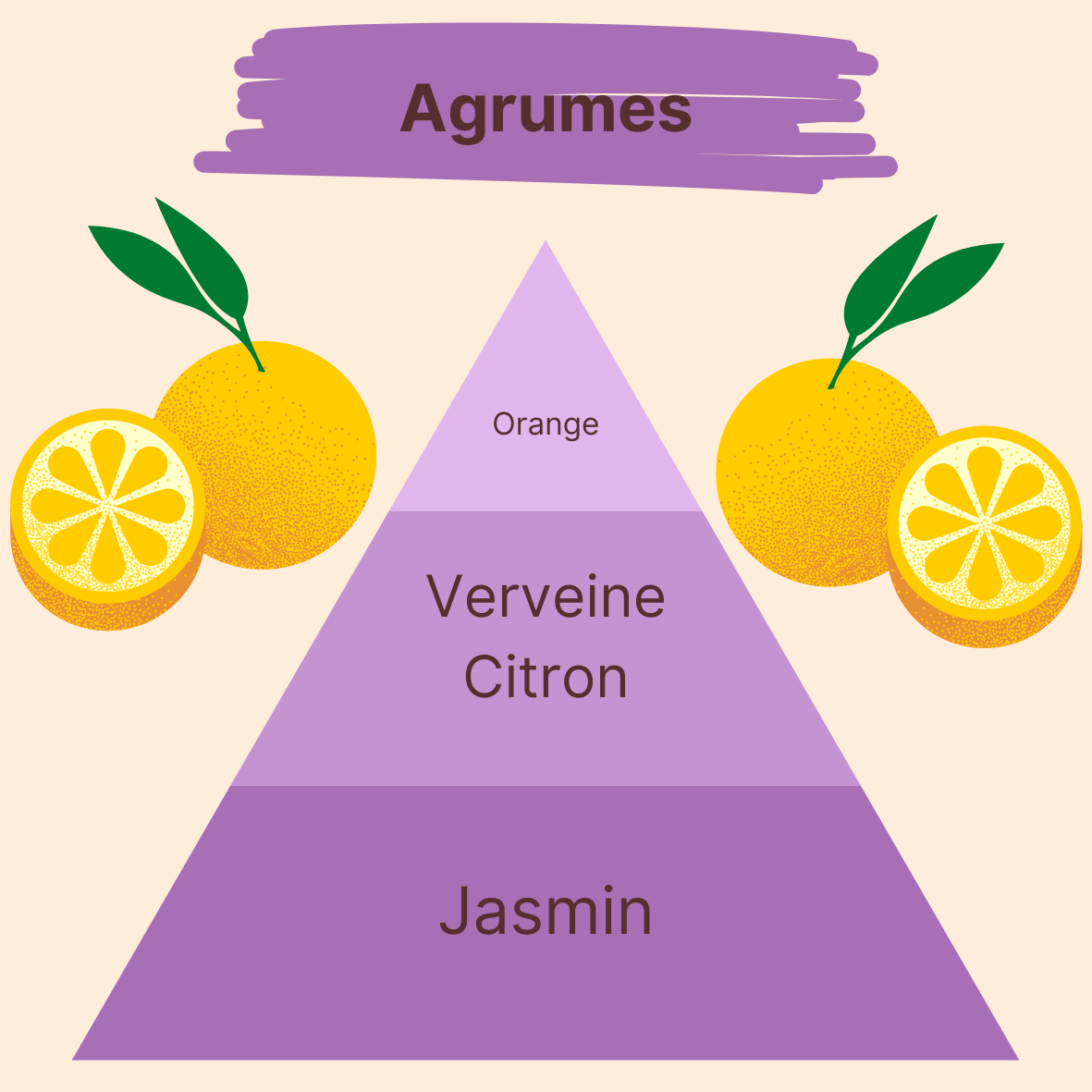 Parfum - Agrumes