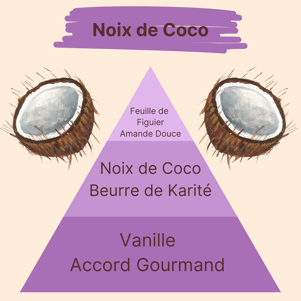Parfum - Noix de Coco