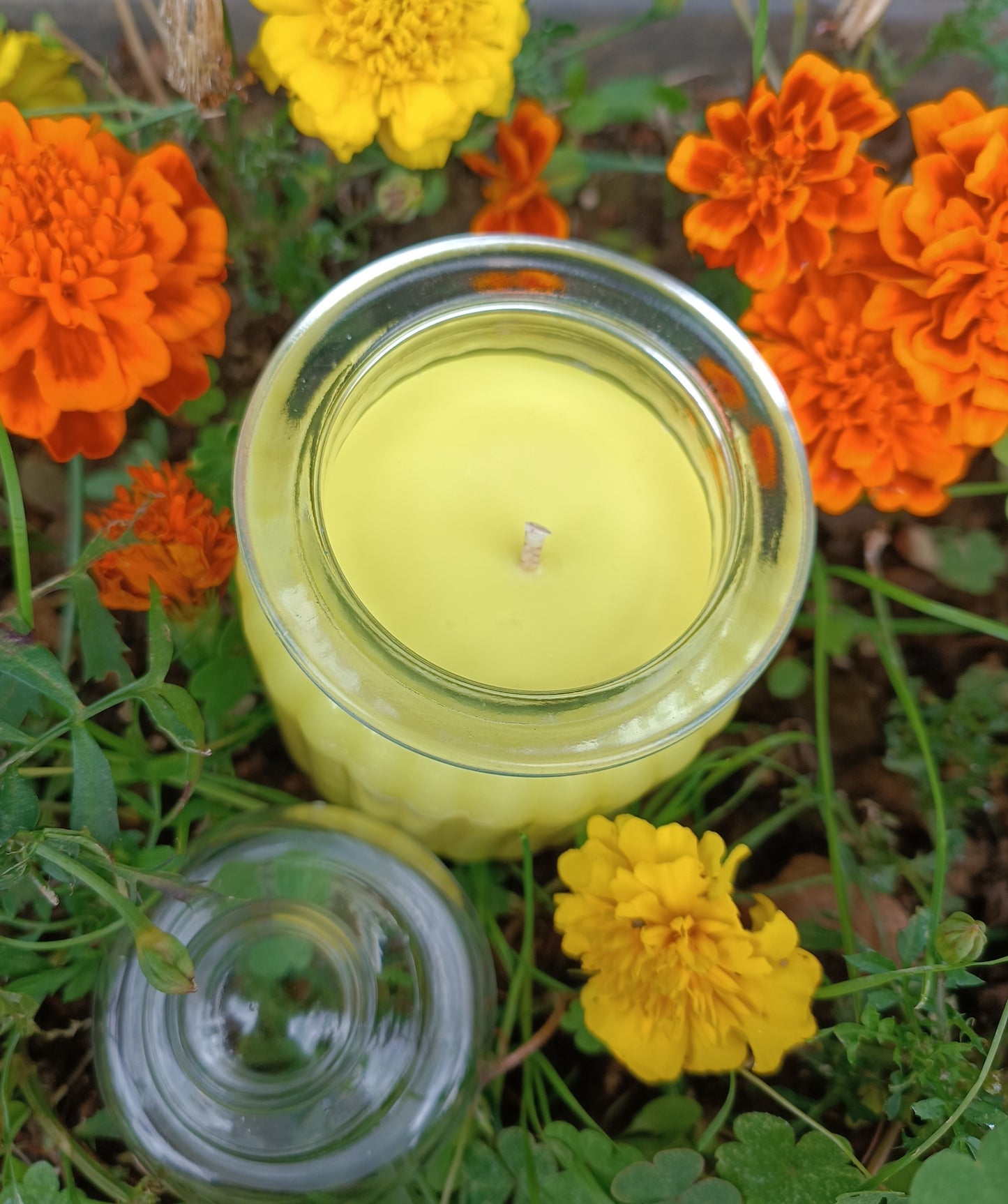 Bougie à base de cire de soja parfumé à la citronnelle et au géranium - Anti bébêtes