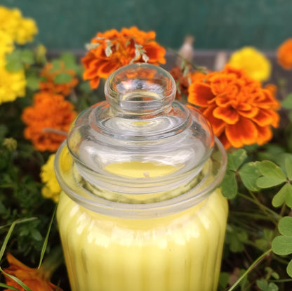 Bougie à base de cire de soja parfumé à la citronnelle et au géranium - Anti bébêtes