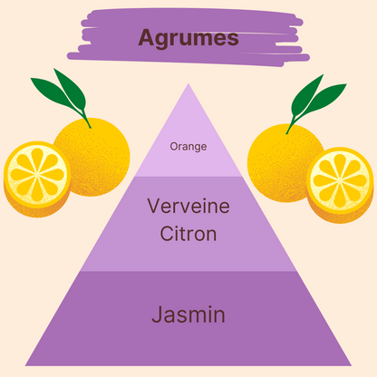 Parfum - Agrumes
