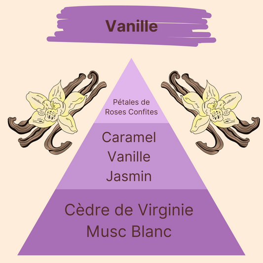 Parfum - Vanille